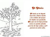 Recursos Otoño