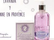 Lavanda Jeanne Provence