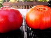 tiempo de...............tomates.-