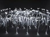 Caligrafía Said Dokins