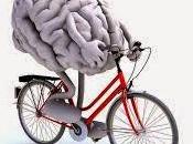 cerebro