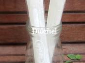 Flash limonada casera