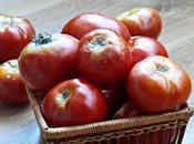 Receta salsa tomate casera Thermomix