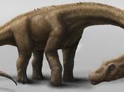 Descubren Argentina especímenes dinosaurio grande Tierra