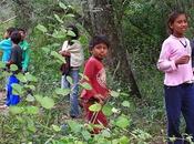 Cuatro meses agua comunidades originarias Machagai.