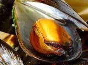 Soñar mejillones indica forma vida.