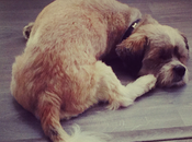 Cosas hago realmente