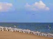 Ensalada Melocotones