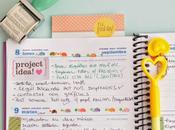 ¡Vuelve cole! ...Vuelve rutina