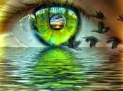 Verdes ojos