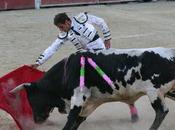 Alcalá real recupera festejos taurinos feria corrida toros mixta