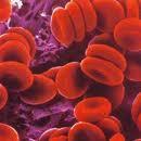Nanoimanes para purificar sangre