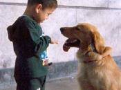 Enseñar Perro Sentarse. Fácil Entretenido