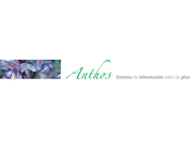 Programa ''ANTHOS''