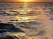 mar.....