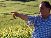 Egly-Ouriet Brut Rosé Grand