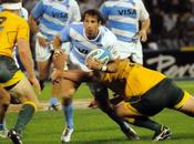 Pumas Australia Vivo, Rugby Championship Online