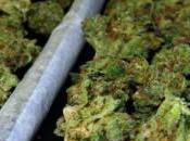 Marihuana Optimismo
