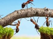 love teamwork?
