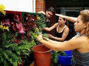 Éxito curso jardines verticales Colombia
