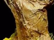 Cómo construir troncos árbol