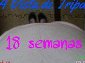 Semana semana