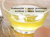 antinutrientes glúcidos proteínas.