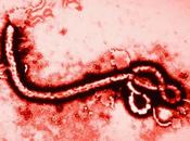 datos sobre Ébola deberías conocer.