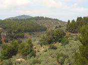 Parque Natural Sierra Tramuntana Mallorca