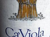 Viola Dolcetto d'Alba Vilot 2008