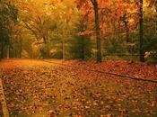 comienza Otoño. inicio Estaciones Esfera