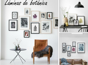 Decorar láminas botánica laminas imprimibles