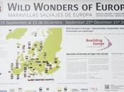 Exposición Wild Wonders Europe Madrid
