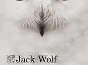 Misericordia (Jack Wolf)