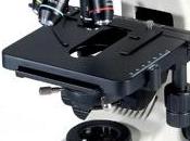 Microscopía