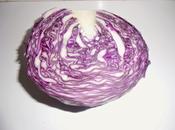 Ensalada lombarda