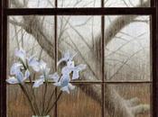 ventana