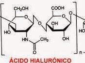 Ácido Hialurónico