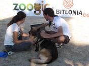 ZOOGIC mente perros para bienestar clientes