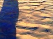 Sombras, material deshecho