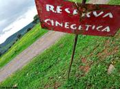 Castilseras abrirá observatorio aves antes finalizar