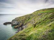 Irlanda: vida entre cortados verdes