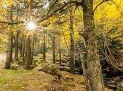 Lugares encanto otoño