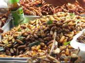 Fao: consumo insectos será gran oportunidad alimentar para mundo.