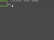 Como saber versión distribución Linux tenemos