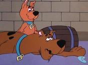 Scrappy ¡poder perruno!