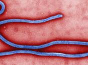 Ébola calma