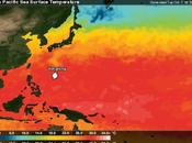 Supertifón "Vongfong", verdadero monstruo categoría Pacífico oeste