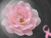 sumo rosa'