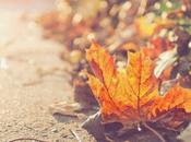 Otoño, caen hojas